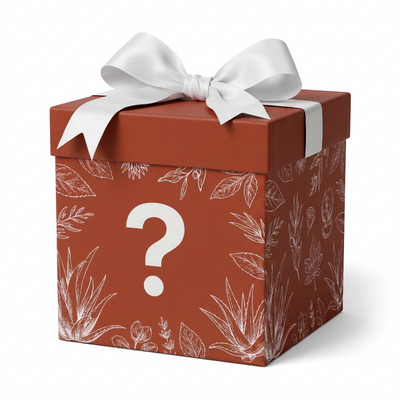 Mystery Gift